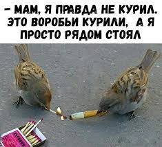 Посольство Украины: во время "голой фотосессии" украинки были в купальниках - Цензор.НЕТ 7505