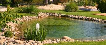 Tout Savoir Sur La Baignade Ecologique