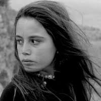 PDF) L. Graver, R. Federman