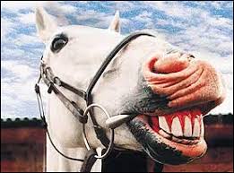 It's not what you were hoping for, but it's the best he could afford; Don T Kick A Gift Horse In The Mouth Nadine Hogan