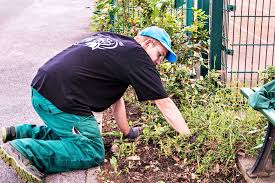 Es geht doch nichts über einen eigenen garten! Garten Landschaftspflege Lebenshilfe Bamberg