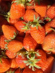 Pretul se amortizeaza in primul an,pret stolon in functie de comanda.la achizitionare ,ofer consiliere infiintare cultura. Lavi Farm Stoloni De Capsuni Soi Batranesc Nemodificat Facebook