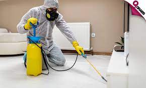 Residential pest control