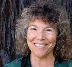 New Village Press January News