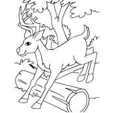 Deer are one of the favorite animals of kids. Top 20 Deer Coloring Pages For Your Little Ones