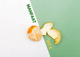 Manfaat Vitamin C Untuk Kesehatan Tubuh Dan Kulit