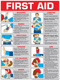 printable cpr instruction card