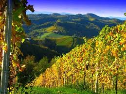 south styria for many styrians a nice glass of wine and a hearty brettljause is all part of a pleasant sunday afternoon at steiermark haus mieten willhaben