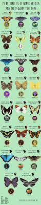 Apr 23, 2018 · butterflies make the world a little more colorful. Heres A Handy Chart Of What Plants And Flowers Attract Which Species Theres A Reason You Dont See Butterflies Anymore And Heres What You Can Do About It Butterfly Garden What