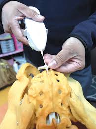 We did not find results for: Rawat Sakit Belakang