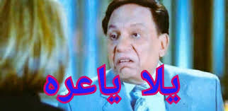 صدى المواقع