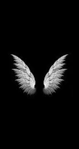 Amazinganimals Animalbackgroundiphone Animalwallpaperiphone Basicanimaldraw In 2020 Black Background Wallpaper Cool Black Wallpaper Wings Wallpaper