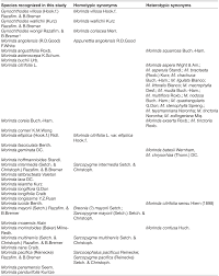 Image result for Morinda angolensis