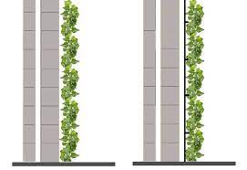 Over time, it becomes more difficult to dislodge the plant from any structure. Green Facade Using Plants Rooted In The Ground Use Of Self Climbing Download Scientific Diagram