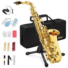 She guesses may be a pizza home delivery boy or any cake home delivery boy is opposite. Eastar Alto Saxophone E Flat Student Alto Sax Antique Finish Beginner Alto Saxophone Eb With Cleaning Cloth Carrying Case Mouthpiece Neck Strap Cork Grease Reeds Stand Bronze As Ab Buy Online In Bangladesh At Bangladesh Desertcart Com 170853153