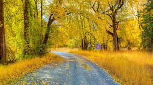 Hd Desktop Nature 7680x4320 8k Wallpaper Hdwallpaper Desktop In 2020 Wallpaper Nature Hd Wallpaper