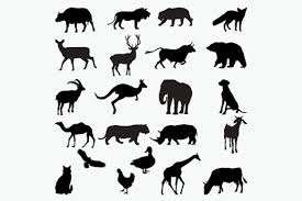 Download Animals Silhouettes Graphic By Octopusgraphic Creative Fabrica PSD Mockup Templates