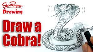 How To Draw A Cobra Snake - Spoken Tutorial - Youtube