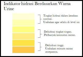 Fenomena air kencing berwarna hijau ini ada dan nyata terjadi pada seorang lelaki berusia 62 tahun yang menderita penyakit paru obstruktif kronik. Pedulikah Anda Dengan Urine Anda Halaman 1 Kompasiana Com