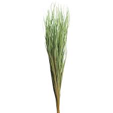 Flat, monotone roof and garden are now a thing of the past because there is such a wide variety of fake grass decor to pick from. Green Magnolia Flax Grass Bundle By Ashland Michaels