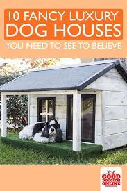 Cool And Luxury Dog Houses Fancy Pet House Good Doggies Online Luxury Dog House Luxury Dog Dog Houses