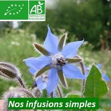 Elles sont bénéfiques pour l'organisme en tant que plante calmante, digestive. Les Infusions Simples Des Jardins De Jammes Plantes Aromatiques Et Medicinales Fleurs Medicinales Plantes Aromatiques