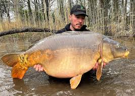 Carpe 25