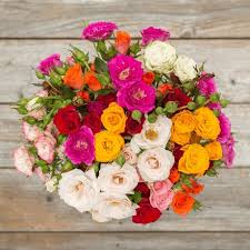 Kuvahaun tulos haulle flowers