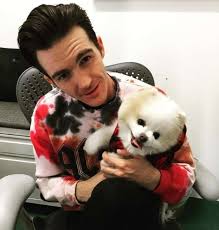 Ceo of @tacobell in 2021 taco bell will soon accept bitcoin and ethereum. Nickelodeon Child Stars Of The 90s Where Are They Now Drake Bell Nickelodeon Drake Bell Spiderman