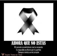 Imagen De Luto Para Descargar Jpg 296 292 Pixeles Frases De Dolor Frases De Sabiduria Imagenes De Monos