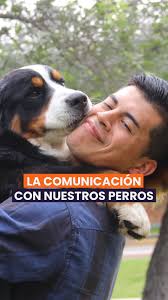 🔴 ¿Cómo es comunicarse mediante la energía? 🔴 , Imaginemos que hemos  vuelto a un aula de clase después de todo este tiempo de pandemia, volvemos  emocionados con ganas de reencontrarnos con nuestro ...