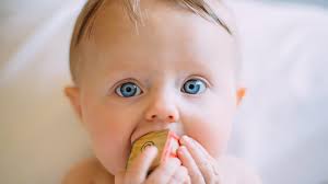 We present you our collection of desktop wallpaper theme: Grey Eyes Cute Charming Boy Baby Is Chewing Toy Cute Hd Wallpaper Peakpx