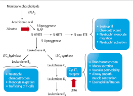 Image result for Zileuton
