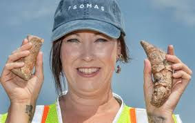 Video: Whale fossil pieces dating back at least 10 million years found at  Irvine landfill