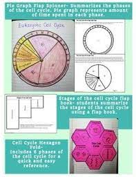Cell Cycle Interactive Notebook Mitosis And Meiosis Division Interactive Notebook Biology Interactive Notebook Science Notebook Activities