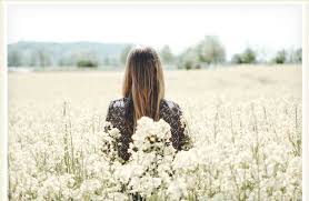 The earth is rocky and full of roots; 80 Quotes About Flowers To Freshen Your Day Proflowers Blog
