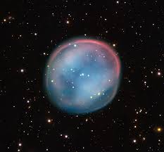Image result for Searsia nebulosa