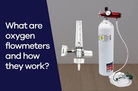 Image result for Moderate Flow Oxygen