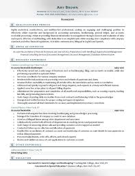 Bookkeeper Resume Examples Resume Professional Writers
