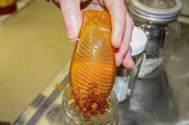 Most poultry farmers rely on middlemen to help sell their products. The Weird World Of Shark Eggs Australian Geographic