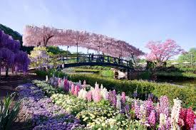 うやまリゾート