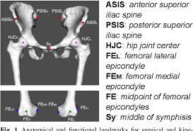 Our mission is to meet the varied needs of our students in all aspects of their academic career. Pdf Asis Anterior Superior Iliac Spine Psis Posterior Superior Iliac Spine Hjc Hip Joint Center Fel Femoral Lateral Epicondyle Fem Femoral Medial Epicondyle Fe Midpoint Of