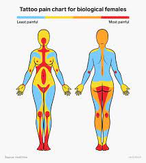 The more fat you have, the better. Tattoo Pain Chart The Most Painful Spots To Get Tattooed