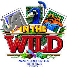 Your kids will increase their vocabulary by learning about different anima. Lifeway 2019 Vbs In The Wild Ministry To Children