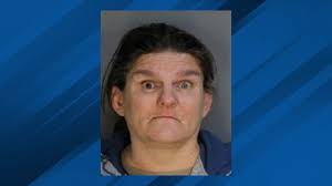 Abandoned dogs found in Watervliet lead to charges against three