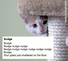 Excerpts From I Could Pee On This And Other Poems By Cats Cat Poems Cat Quotes Funny Funny Cats And Dogs