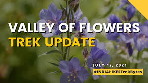 Check spelling or type a new query. Valley Of Flowers Trek Beginning To Bloom Latest Updates Indiahikes Trek Bytes July 2021 Youtube