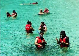 The snorkelling trip to pulau payar is a long day trip. Langkawi Snorkeling Tour