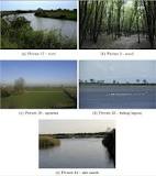 Image result