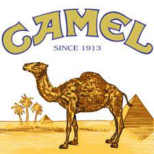 We could not determine your current location. Camel Filter 99s Box 20 Ct 10 Pk Sam S Club